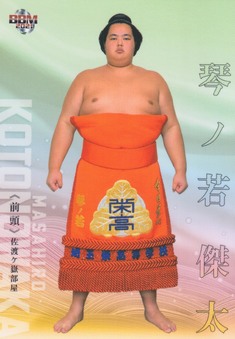 Enlarge photo 46
