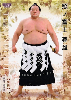Enlarge photo 85