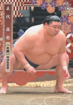 Enlarge photo 74