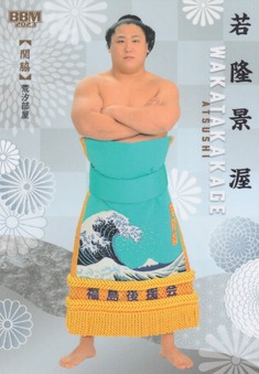 Enlarge photo 111