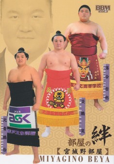 Enlarge photo 119