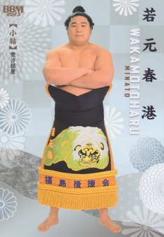 Enlarge photo 114