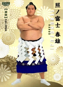 Enlarge photo 109