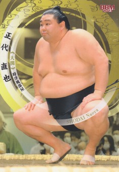 Enlarge photo 99
