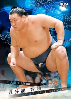 Enlarge photo 153