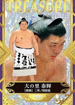 Enlarge photo 239
