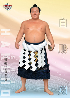 Enlarge photo 37