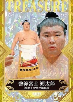 Enlarge photo 245