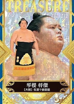 Enlarge photo 241