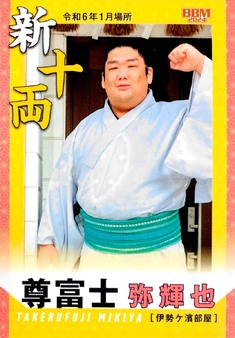 Enlarge photo 130