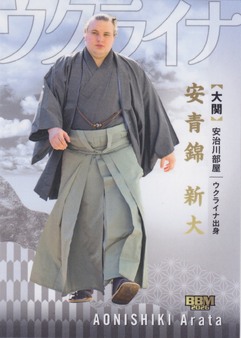 Enlarge photo 239
