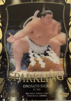 Enlarge photo 260