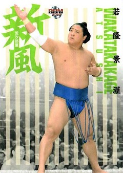 Enlarge photo 395