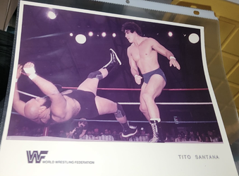 Wanted WWF & WCW Promos