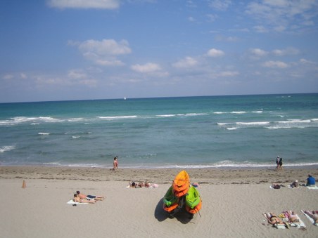 Enlarge photo 4