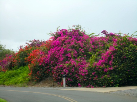 Enlarge photo 4