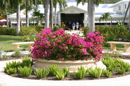Enlarge photo 5