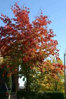 Enlarge photo 14