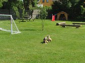 Enlarge photo 2