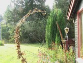 Enlarge photo 33