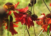 Enlarge photo 34