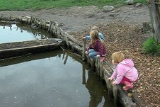 Enlarge photo 24