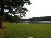 Enlarge photo 93