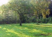 Enlarge photo 1