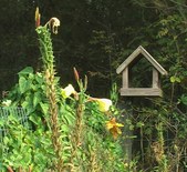 Enlarge photo 6