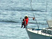 Enlarge photo 25