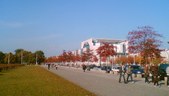 Enlarge photo 41