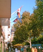 Enlarge photo 60