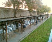Enlarge photo 68