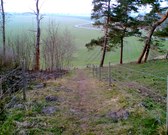 Enlarge photo 29