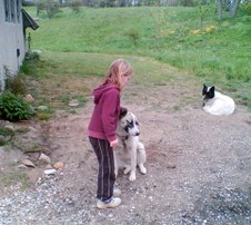 Enlarge photo 17