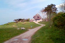 Enlarge photo 15