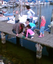 Enlarge photo 35