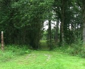 Enlarge photo 31