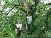 Enlarge photo 32