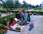 Enlarge photo 3