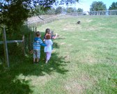 Enlarge photo 24