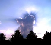 Enlarge photo 28
