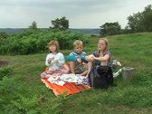 Enlarge photo 33