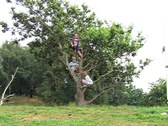 Enlarge photo 35