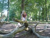 Enlarge photo 11