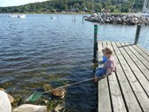 Enlarge photo 12