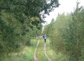 Enlarge photo 14