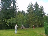 Enlarge photo 16