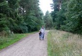 Enlarge photo 18