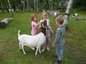 Enlarge photo 15